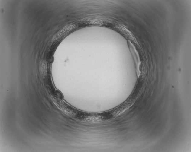 X0000085790213200704131903