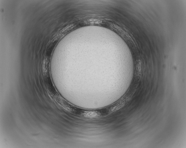 X0000085790218200704131903