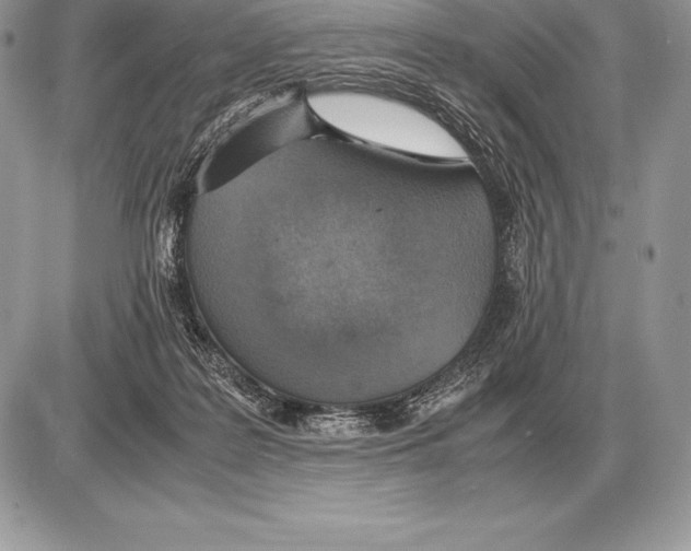 X0000085790219200704131903