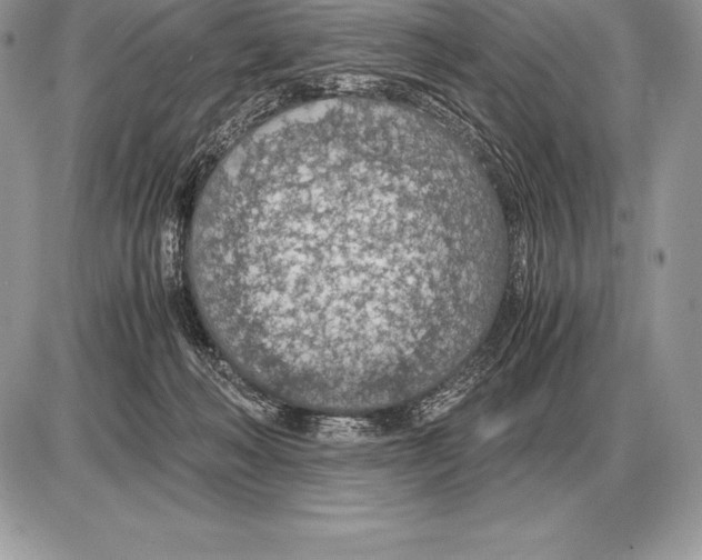 X0000085790222200704131903