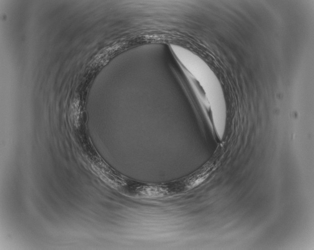 X0000085790223200704131903