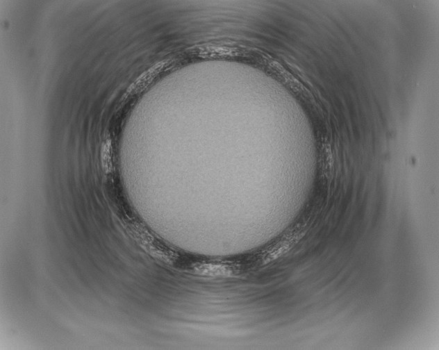 X0000085790224200704131903