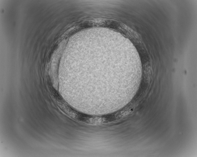 X0000085790225200704131903