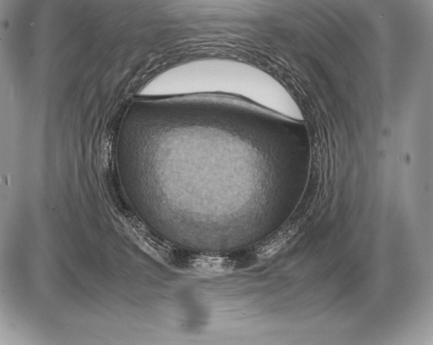 X0000085790227200704131903