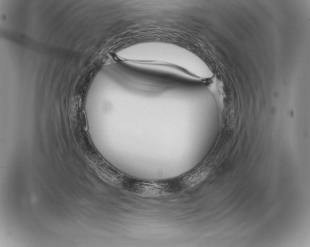 X0000085790229200704131903