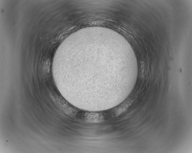 X0000085790230200704131903