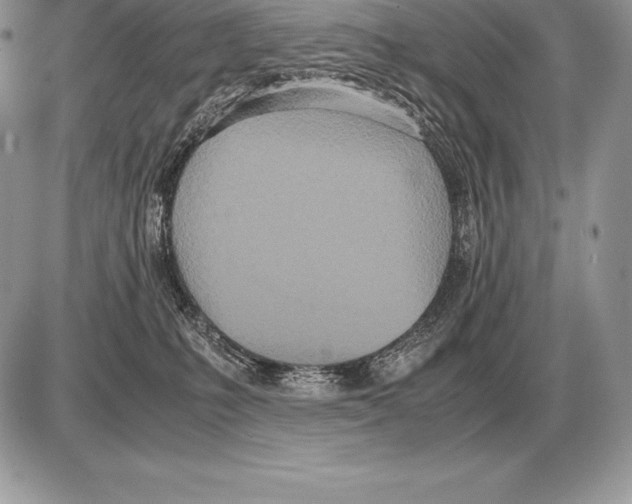 X0000085790231200704131903