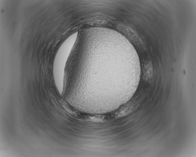 X0000085790232200704131903
