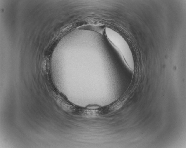X0000085790233200704131903