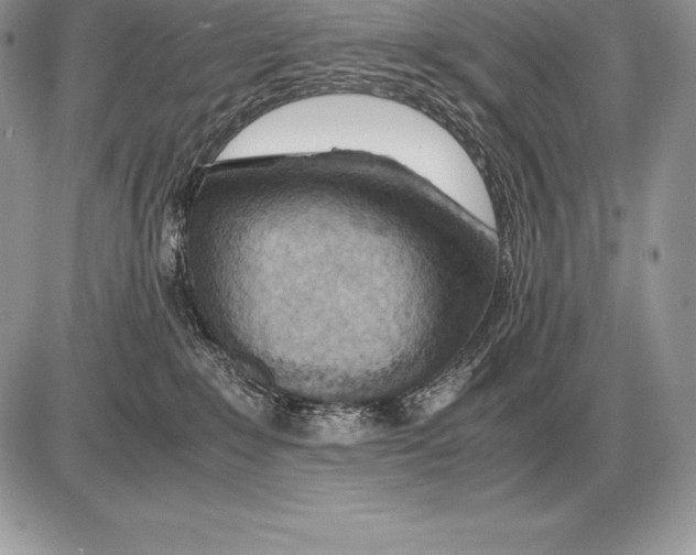 X0000085790235200704131903