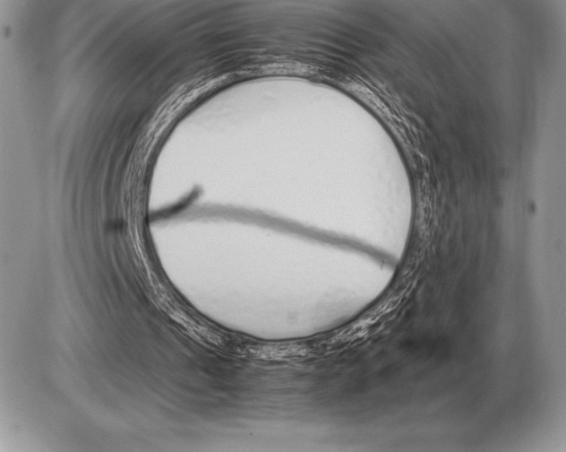 X0000085790241200704131902