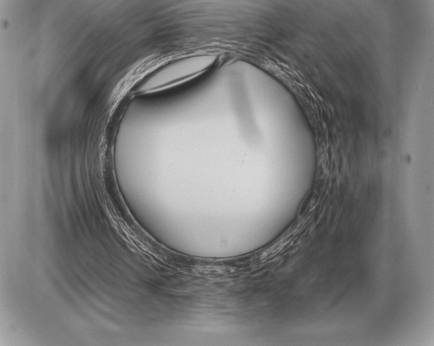 X0000085790242200704131902