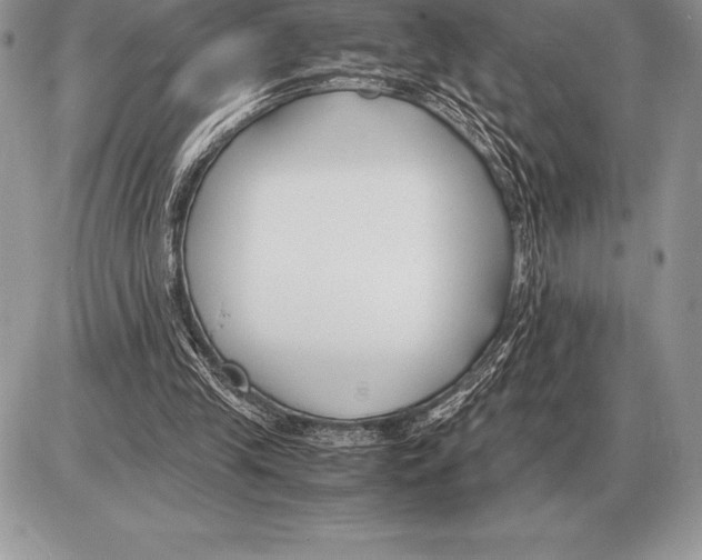 X0000085790245200704131902