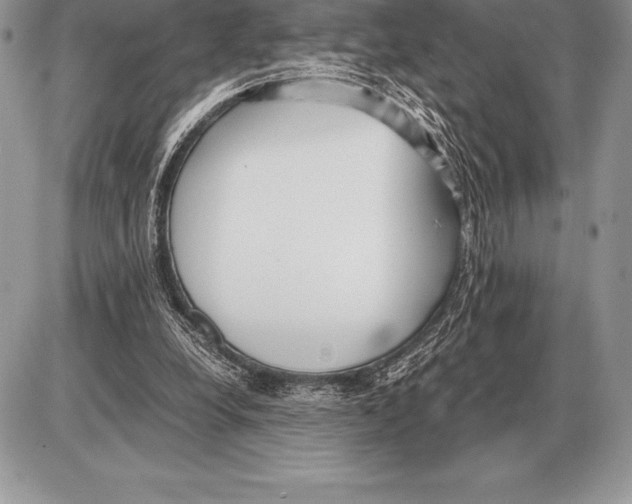 X0000085790248200704131902