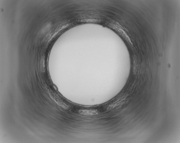 X0000085790251200704131902
