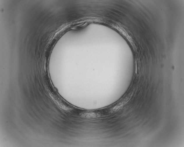 X0000085790253200704131902