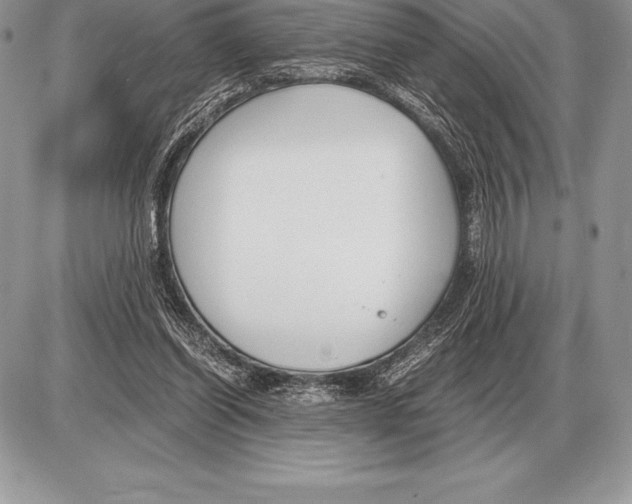 X0000085790254200704131902