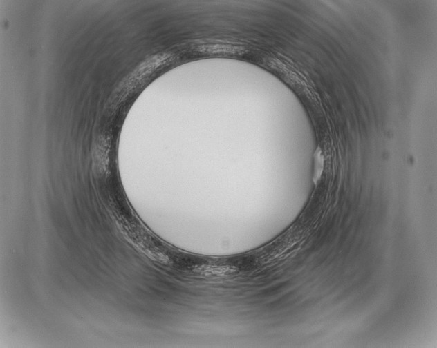 X0000085790255200704131902