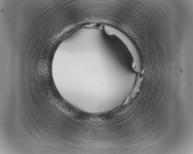 X0000085790256200704131902