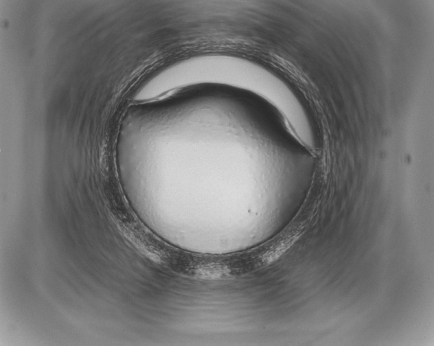 X0000085790258200704131902