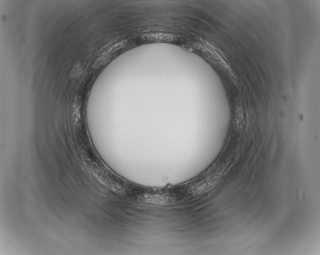 X0000085790259200704131902