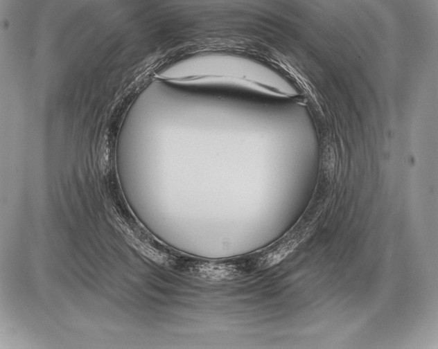 X0000085790261200704131902
