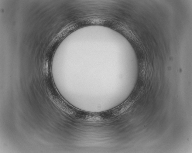 X0000085790262200704131902