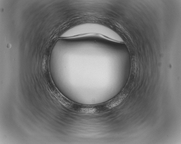 X0000085790266200704131902
