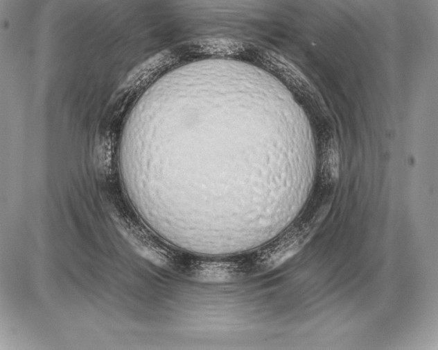 X0000085790268200704131902