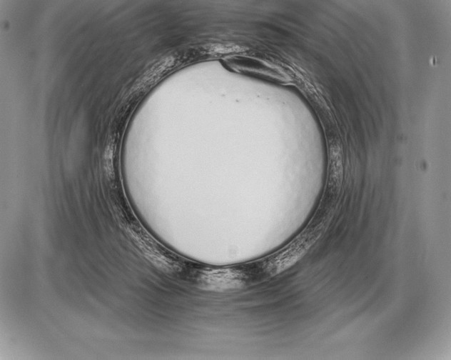 X0000085790269200704131902