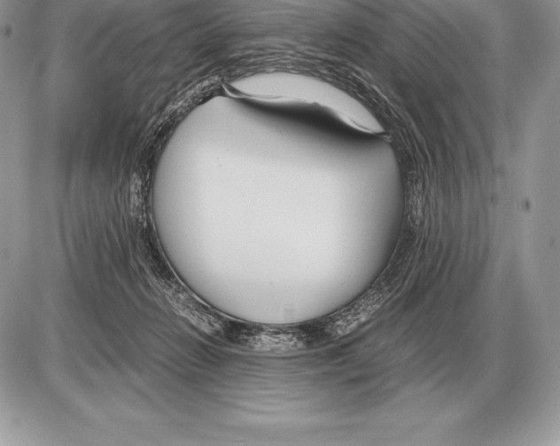 X0000085790270200704131902