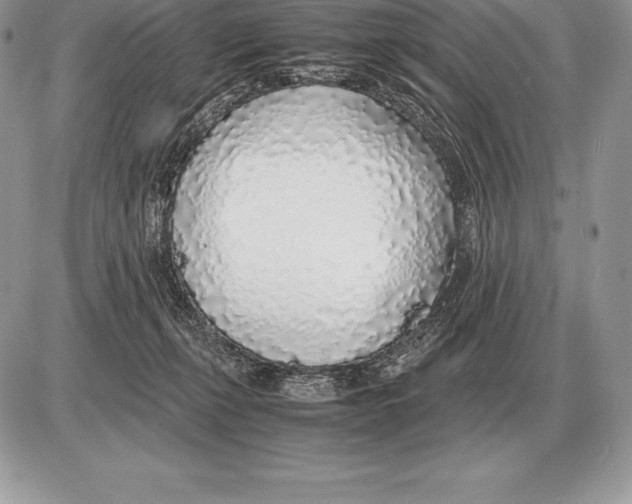 X0000085790271200704131902