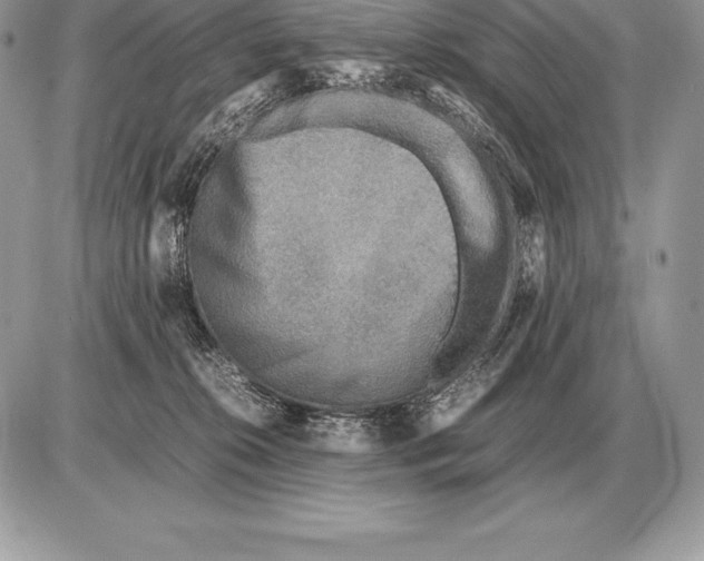 X0000085790276200704131902