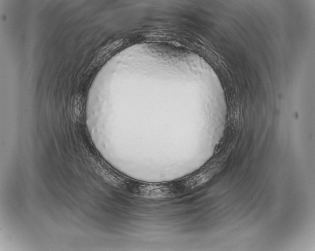 X0000085790277200704131902
