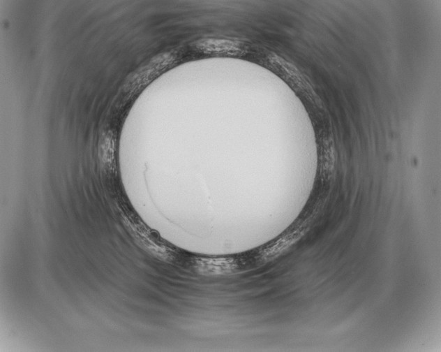 X0000085790281200704131902