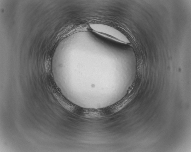 X0000085790285200704131903