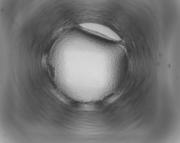 X0000085790286200704131903