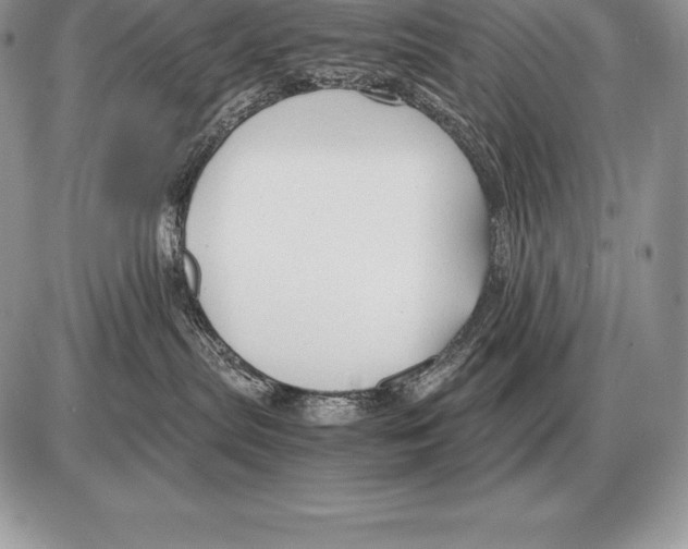 X0000085790287200704131903