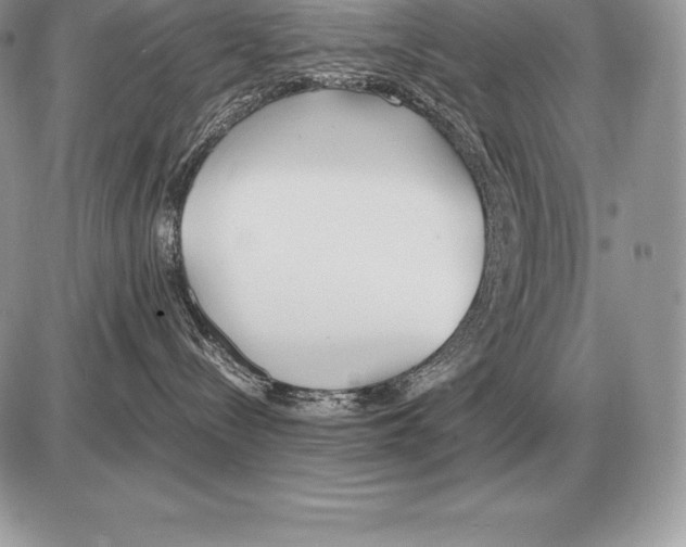 X0000085790288200704131903