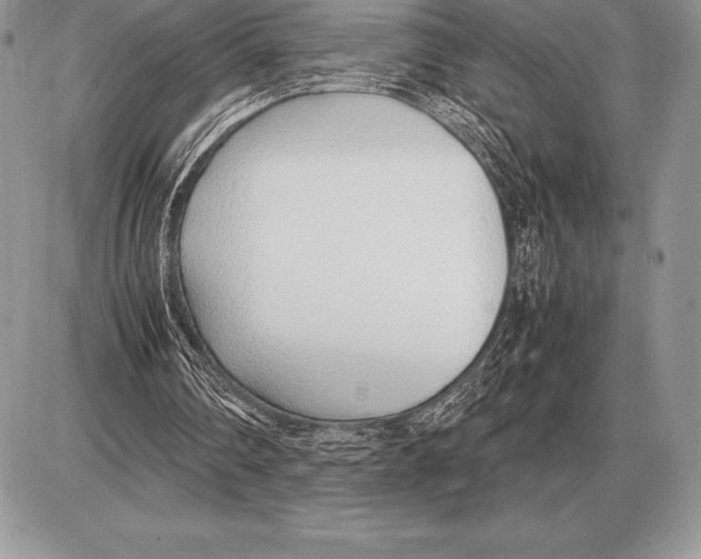 X0000085790290200704131902