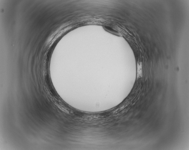X0000085790291200704131902