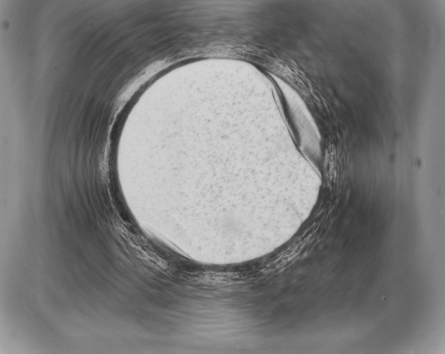 X0000085790292200704131902
