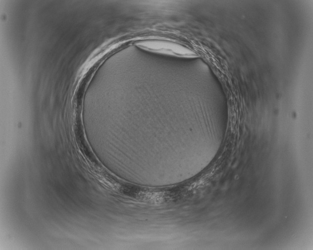 X0000085790295200704131902