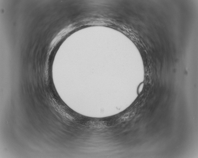 X0000085790296200704131902