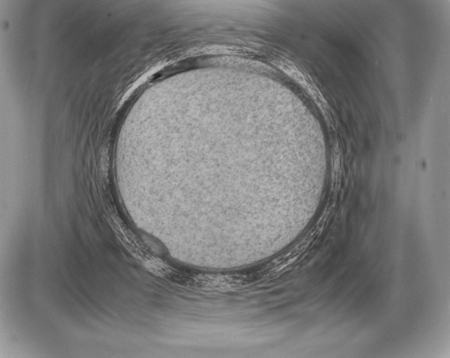 X0000085790297200704131902