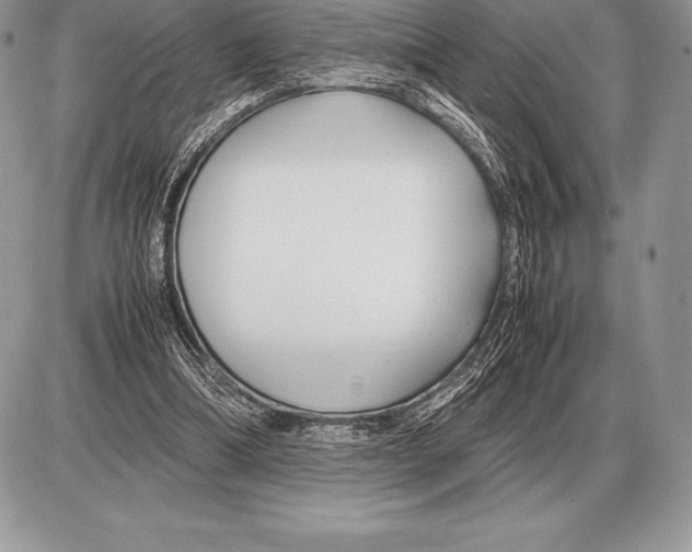 X0000085790298200704131902