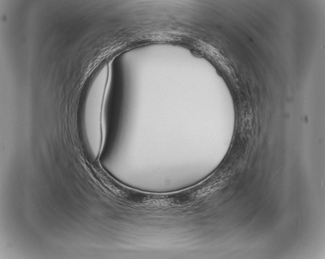 X0000085790299200704131902