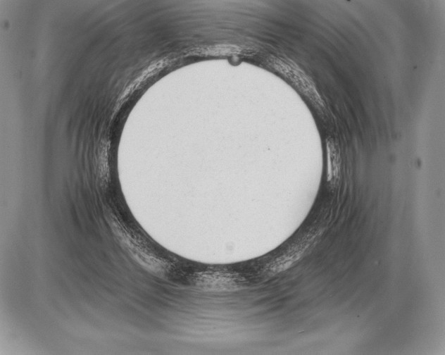 X0000085790300200704131902