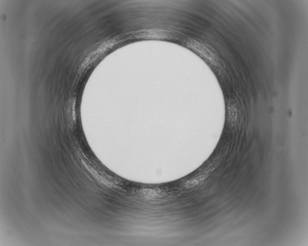 X0000085790302200704131901