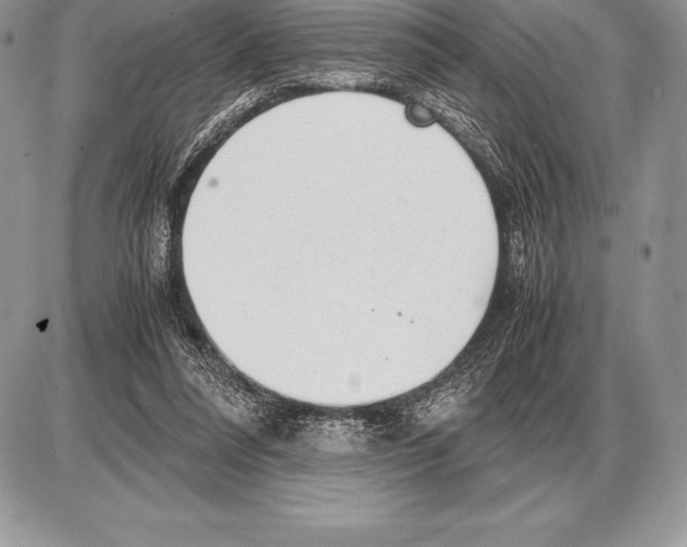 X0000085790304200704131901